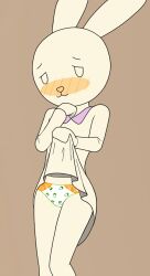 1female 1girls absurd_res absurdres artist_request blush blushing_at_viewer carrot carrot_print carrots clothed_female clothing doki female female_focus female_only flashing flashing_at_viewer flashing_panties furry furry_only girl_only hi_res high_resolution highres looking_at_viewer newgrounds no_pants no_skirt orange_blush panties pantyshot pantyshot_(standing) petite petite_body petite_female pink_collar smiling smiling_at_viewer there_she_is thighs thin_female