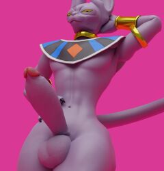 anthro beerus boner camseven dragon_ball dragon_ball_super dragon_ball_z erection male_only solo solo_male tagme