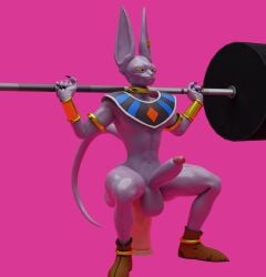 anthro beerus boner camseven dragon_ball dragon_ball_super dragon_ball_z erection male_only solo solo_male tagme