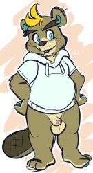 2023 animal_crossing anthro balls beaver blue_eyes brown_body c.j._(animal_crossing) clothing genitals hi_res hoodie male mammal nintendo penis rodent simple_background slightly_chubby solo tbid topwear