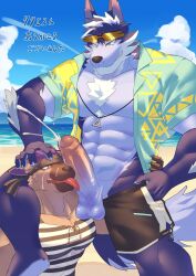 abs accessory aloha_shirt anthro balls blue_body blue_fur bodily_fluids bottomwear canid canine canis clothed clothing cum cum_on_face duo eggplant_nacl erection foreskin fur genital_fluids genitals headband hi_res hyena japanese_text licking lifewonders male male/male mammal muscular muscular_anthro muscular_male nether_pirate oral partially_clothed pattern_clothing pattern_shirt pattern_topwear pecs penile penis penis_lick purple_body purple_fur sex shirt shorts shorts_down text tindalos_(tokyo_afterschool_summoners) tokyo_afterschool_summoners tongue tongue_out topwear wolf