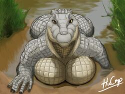 1girls anthro big_breasts breasts crocodile crocodilian enormous_breasts fat_ass female female_only gigantic_breasts huge_breasts hxveuseenmypen in_water large_breasts mud reptile reptile_humanoid scales