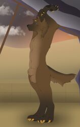 absurd_res animal_genitalia anthro balls blue_eyes canid canine canine_genitalia canis claws desert domestic_dog feet fur genitals gold_claws hi_res horn male mammal neshi nude outside pawpads paws sheath simple_background sky solo stretching tail