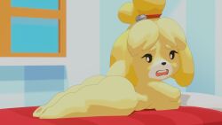 animal_crossing animal_crossing_new_horizons canine chibi cute furry isabelle_(animal_crossing) naked shortstack straight worried worried_expression worried_look yellow_fur