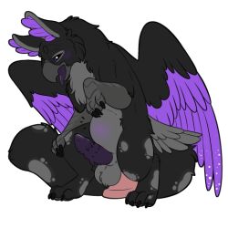 1boy 4_toes avian balls black_body blush circle_eyebrows eyebrows feathered_wings feathers feet fur genitals gryphon male male_focus male_only mythological_avian mythology penis purple_eyes rigel_(draskmacaw) solo solo_focus symrea talons telegram_sticker toes wings