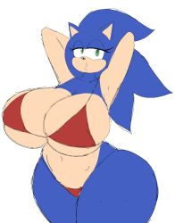 1girls 2023 anthro big_ass big_breasts bikini female female_only fur furry huge_ass huge_breasts mobian_(species) momiji_(artist) rule_63 sega sideass small_bikini sonic_(series) sonic_the_hedgehog sonique_the_hedgehog