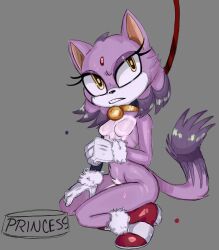 annoyed anthro blaze_the_cat collar food_bowl petplay sonic_(series) sonic_the_hedgehog_(series) sp4gh3tt1_(artist) sweat