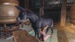 3d animated clothed_sex dirty_penis donkey equine_penis fellatio feral_on_female feral_smegma horse_penis horsecock mp4 no_sound oral oral_sex skyrim smegma tagme video zoophilia