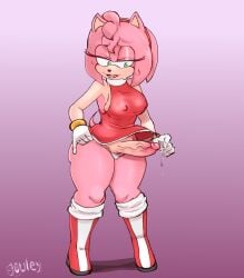 1futa amy_rose anthro dickgirl dress_lift erection furry futanari nipples_visible_through_clothing panties penis pleasure_face precum sega sideboob smile solo sonic_(series) souley69 standing sweat thick_thighs