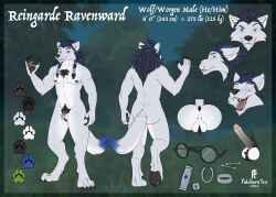 absurd_res anthro ballhawk balls blizzard_entertainment canid canine eyewear genitals glasses hi_res male mammal model_sheet palehorntea penis piercing reingarde ring solo warcraft were werecanid werecanine werewolf worgen worgen_with_tail world_of_warcraft