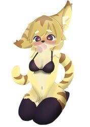 animal_ears animal_tail bikini blowjob blush bra cum cum_in_mouth doremifaso64 heart-shaped_pupils leggings mia_(world_flipper) mikeyama no_humans oral oral_penetration oral_sex purple_eyes sex tail thighhighs thyroidius world_flipper yagi_the_goat yellow_fur