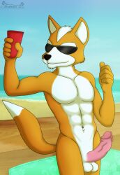 abs anthro athletic athletic_anthro athletic_male balls beach bench black_eyewear black_sunglasses blue_sky brown_body brown_fur canid canine dipstick_tail eyewear fox fur genitals gesture hair holding_glass holding_object humanoid_genitalia humanoid_penis james_mccloud male male_focus mammal markings multicolored_body multicolored_fur penis sandblastcoyote sea seaside sky solo sunglasses surfboard tail tail_markings thumbs_up two_tone_body two_tone_fur two_tone_tail water white_body white_fur white_hair