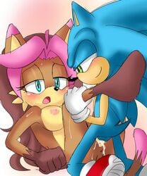 anthro breasts color cum female fur furry hedgehog insertion male mikuhoshi nude sex sonic_(series) sonic_the_hedgehog stella_the_cat tagme vaginal_penetration