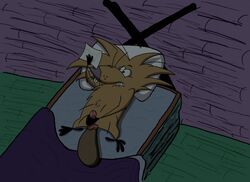 angry_beavers norbert tagme