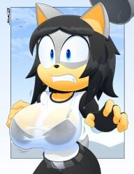 1girls anthro big_breasts black_hair bra breasts bucket fan_character furry huge_breasts large_breasts makia_(slickehedge) original_character prank see-through see-through_clothing see-through_shirt short_hair slickehedge solo solo_female sonic_(series) sonic_oc sonic_the_hedgehog_(series) wet wet_clothes