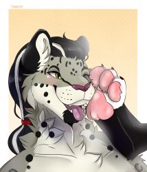 absurd_res blush duo feet felid foot_fetish hi_res male mammal pantherine paw_on_face snow_leopard tyrartist umbrose