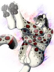 absurd_res anthro balls curled_tail feet felid foot_focus foreskin genitals girly hi_res legs_up male mammal pantherine paws penis snow_leopard solo tail tyrartist umbrose