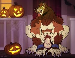 1boy 2020 animal_genitalia animal_penis anthro balls barazoku big_balls canid canine canis claws domestic_dog evan_(kihu) fur furry gay genitals halloween hi_res highres holidays kihu looking_at_viewer male male_focus male_nipples male_only mammal manly muscular_anthro nipple_piercing nipples pumpkin solo solo_male teeth teeth_visible werecanid werecanine weredog