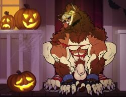 1boy 2020 animal_genitalia animal_penis anthro balls barazoku big_balls canid canine canis claws clothing domestic_dog evan_(kihu) fur furry gay genitals halloween hi_res highres holidays kihu looking_at_viewer male male_focus male_nipples male_only mammal manly muscular_anthro nipple_piercing nipples pumpkin ripped_clothing solo solo_male teeth teeth_visible werecanid werecanine weredog