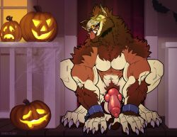 1boy 2020 animal_genitalia animal_penis anthro balls barazoku big_balls big_penis canid canine canis claws domestic_dog evan_(kihu) fur furry gay genitals halloween hi_res highres holidays kihu knot looking_at_viewer male male_focus male_nipples male_only mammal manly muscular_anthro nipple_piercing nipples penis pumpkin solo solo_male teeth teeth_visible werecanid werecanine weredog