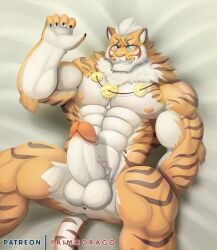 abs anthro anus balls bara biceps claws felid fur genitals hi_res lin_hu male male_only mammal muscular muscular_anthro muscular_male nekojishi nipples pantherine pecs penis primodrago solo studio_klondike tail tiger vein veiny_penis