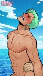 2boys 2males abs animated animation bara bara_tiddies bara_tits barazoku blush bouncing_penis earrings fufufleet gay grabbing_waist green_hair hands_on_waist looping_animation male_only muscular muscular_male no_sound ocean one_piece pecs pirate pleasure_face roronoa_zoro scars sky sweat tagme thefleethall uncircumcised uncut veiny_penis video waist_grab