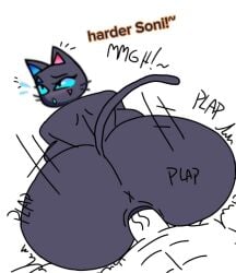 1boy 1girls abs anal animal_humanoid animal_pussy anus ass ass_focus ass_up back big_ass black_body blush blushing cat_ears cat_humanoid cat_tail catgirl female female_focus female_only moaning muscular muscular_male open_mouth penetration sex sex_from_behind tremble_lines trembling vagina vaginal_penetration vaginal_sex zoophilia zoophilia_pov zoophilia_pregnancy