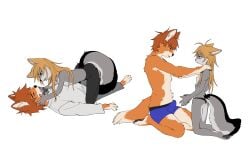absurd_res anthro black_clothing black_leggings black_legwear black_nose black_panties black_pawpads black_striped_fur black_tail_tip black_underwear blonde_ears blonde_hair breasts canid canine clothing dipstick_tail duo erection erection_under_clothing eye_contact female fox fur grey_body grey_fox gyo_bok hair hi_res holding_each_other kemono kneeling leggings legwear looking_at_another lying_on_another male male/female mammal markings multiple_scenes orange_body orange_ears orange_fur orange_hair panties pawpads red_eyes red_fox romantic romantic_couple shirt size_difference small_breasts tail tail_markings tan_body tan_fur topwear true_fox underwear urocyon white_clothing white_shirt white_topwear