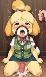 ai_generated animal_crossing collar cum cumming drooling futanari hands-free handsfree_ejaculation isabelle_(animal_crossing) knot leash muzzle_(object) muzzled orgasm panting petplay puppyplay