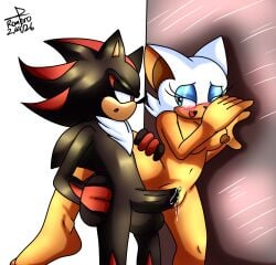 against_surface against_wall anthro bat bedroom_eyes big_breasts blush bodily_fluids breasts duo eulipotyphlan female genital_fluids genitals hedgehog hi_res looking_at_another looking_at_partner looking_pleasured male mammal narrowed_eyes navel nipples penetration precum rouge_the_bat seductive sega shadow_the_hedgehog sonic_(series) sonic_the_hedgehog_(series) vaginal_penetration vulva xxflamecoreshellxx