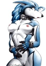 anthro anthro_only black_nose blue_fur blue_hair breasts brown_eyes color doggie_kruger female female_only front_view fur furry furry_breasts furry_ears hair hand_on_belly navel nipples open_eyes open_mouth pointy_ears power_rangers rule_63 solo super_sentai tokusou_sentai_dekaranger vulva white_background white_fur