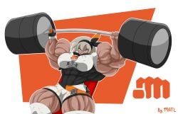 abs bea_(pokemon) biceps big_breasts big_muscles breasts extreme_muscles female hair huge_breasts huge_muscles large_breasts large_muscles matl muscles muscular muscular_arms muscular_female muscular_legs muscular_thighs pecs pokemon weights