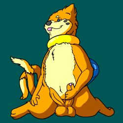 balls belly blep bodily_fluids buizel diphallia diphallism feral flygon_(artist) foreskin generation_4_pokemon genital_fluids genitals hand_on_penis hi_res male mammal masturbation multi_genitalia multi_penis mustelid musteline nintendo orange_body otter penis pokemon pokemon_(species) precum retracted_foreskin ripparu solo tan_belly tongue tongue_out true_musteline weasel