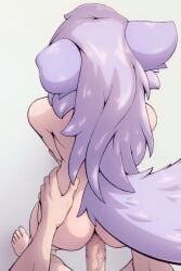 1boy animal_ears censored completely_nude erection female from_above highres io_(paladins) just_the_tip leaning_forward long_hair mosaic_censoring nekomimi nude original paladins penis pov pov_crotch purple_hair rengaboo sex sex_from_behind straight tail tail_raised torso_grab