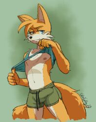 aged_up anthro artolius bottomwear bulge canid canine clothed clothing enlisentity fox genital_outline hi_res looking_at_viewer male male_only mammal nipples penis_outline sega shirt shorts solo solo_male sonic_(series) sonic_the_hedgehog_(series) tails tank_top tank_top_lift topwear