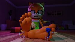 3d 5_toes anthro barefoot canid canine digital_media eulipotyphlan feet feetymcfoot female foot_fetish foot_focus foot_play fox giantess group hedgehog hi_res humanoid_feet male male/female mammal marine_the_raccoon micro plantigrade procyonid raccoon sega size_difference soles sonic_(series) sonic_the_hedgehog sonic_the_hedgehog_(series) tails toes trio