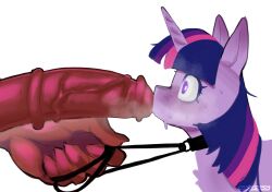 ambiguous_gender bodily_fluids duo equid equine erection eyelashes feral friendship_is_magic fur genitals hasbro hi_res horse leash male mammal medial_ring my_little_pony penis pony purple_body purple_eyes purple_fur simple_background sincastermon sweat twilight_sparkle_(mlp) vein veiny_penis white_background