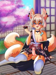 anthro asian_clothing canid canine cherry_blossom cherry_blossom_tree cherry_tree clothing drinking east_asian_clothing fox fruit_tree girly hi_res japan japanese_clothing kimono male mammal noppe-bo plant solo tree