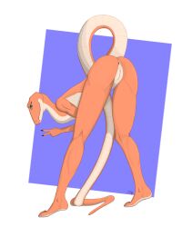 4:5 absurd_res anthro anus ass brown_eyes female genitals genitls hi_res looking_at_viewer nude orange_body pussy reptile scalie september simple_background snake solo standing tail tan_body zakoruchka