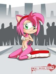 amy_rose anthro breasts covering covering_breasts covering_crotch crowd dr-cane embarrassed_nude_female enf female frown fur furry hedgehog humiliated kneeling nude outdoors pink_hair public_nudity short_hair sitting sonic_(series) uncensored