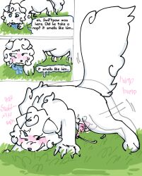 cloudtail (warriors) from warriors (book series)