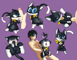 morgana (persona) from atlus by jerseydevil