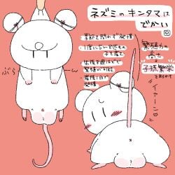 animal_genitalia anus balls big_balls duo feral genitals japanese_text male mammal mouse murid murine nontan_mobusagi rodent sheath text translation_request x_anus