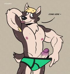 absurd_res anthro armpit_hair blonde_hair body_hair briefs brown_body canid canine canis clothing countershading dialogue domestic_dog english_text erection genitals green_clothing green_underwear hair hand_behind_head herding_dog hi_res humanoid_genitalia humanoid_penis male mammal muscular muscular_male nipples pastoral_dog penis portrait pulling_underwear simple_background solo tadaoardo tail tan_background tan_body text three-quarter_portrait tobias_jones_(tjcorgi) tongue tongue_out underwear vein veiny_penis welsh_corgi