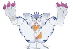 anthro anus ass ball_fondling balls bandai_namco blush colored_nails digimon digimon_(species) disembodied_hand duo erection fondling genitals handjob hi_res male muscular muscular_anthro muscular_male nails nipples pecs penile penis sex seyrmo tail tail_motion tailwag weregarurumon