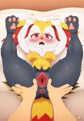 absurd_res anthro braixen canid canine digit_ring duo female fennec first_person_view flustered fox generation_6_pokemon genitals hi_res highoncoffee human jewelry male male/female mammal married_couple nintendo pokemon pokemon_(species) pussy ring spread_legs spread_pussy spreading wedding_ring