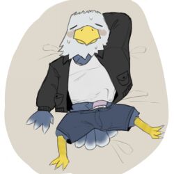 accipitrid accipitriform animal_crossing anthro apollo_(animal_crossing) avian bald_eagle bird blush bodily_fluids bulge clothed clothing eagle erection erection_under_clothing feathers furry genitals hands_behind_head hi_res jacket leather leather_clothing leather_jacket leather_topwear lucusfox male mature_male nintendo penis sea_eagle shirt solo sweat tank_top tired topwear underwear