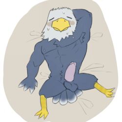 accipitrid accipitriform animal_crossing anthro apollo_(animal_crossing) armpit_hair avian bald_eagle balls bird blush bodily_fluids body_hair bulge circumcised eagle erection feathers genitals hands_behind_head hi_res lucusfox male mature_male nintendo nipples penis pubes sea_eagle solo sweat tired