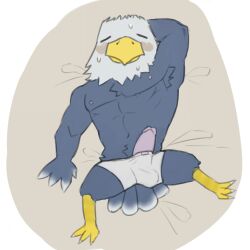 accipitrid accipitriform animal_crossing anthro apollo_(animal_crossing) armpit_hair avian bald_eagle bird blush bodily_fluids body_hair bulge circumcised clothed clothing eagle erection feathers furry genitals hands_behind_head hi_res lucusfox male mature_male nintendo nipples penis pubes sea_eagle solo sweat tired topwear underwear