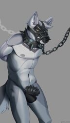 absurd_res anthro bodily_fluids canid canine canis chains chastity_belt chastity_cage chastity_device chilldog collar cum cum_drip dick dripping genital_fluids hi_res male mammal muscular muscular_male muzzle_(object) muzzled precum sole_male solo wolf